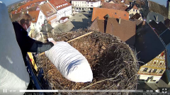 2022_03_04_10_30_21_Storchencam_Storchennest_Hoechstadt.de_Mozilla_Firefox.png