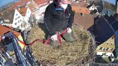 2022_03_04_10_34_19_Storchencam_Storchennest_Hoechstadt.de_Mozilla_Firefox.png