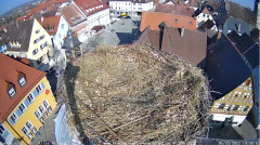 2022_03_04_10_57_13_Storchencam_Storchennest_Hoechstadt.de_Mozilla_Firefox.png