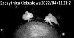 2022-04-11 21_26_45-Gniazdo bociana Klekusiowo kamera na żywo WebCamera.pl oglądaj – Kinza.jpg