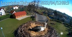 2022-04-12 09_33_37-Gniazdo bociana Klekusiowo kamera na żywo WebCamera.pl oglądaj – Kinza.jpg