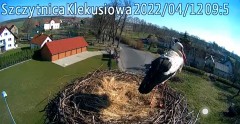 2022-04-12 09_49_49-Gniazdo bociana Klekusiowo kamera na żywo WebCamera.pl oglądaj – Kinza.jpg