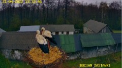 2022-04-21 19_47_12-Bociany w Zastawkach - Home – Kinza.jpg
