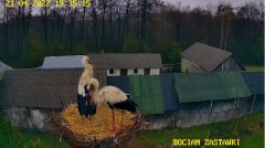 2022-04-21 19_47_34-Bociany w Zastawkach - Home – Kinza.jpg