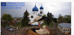 2022-05-06 21_48_48-Gniazdo Bocianie - Telewizja Sokółka [NA ŻYWO] _ IP Camera_ Stork's nest [LIVE] .jpg