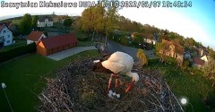 2022-05-07 19_47_35-Gniazdo bociana Klekusiowo kamera na żywo WebCamera.pl oglądaj – Kinza.jpg