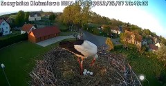 2022-05-07 19_48_03-Gniazdo bociana Klekusiowo kamera na żywo WebCamera.pl oglądaj – Kinza.jpg