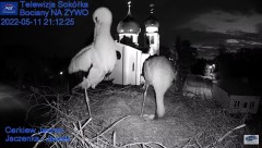 2022-05-11 23_30_03-Gniazdo Bocianie - Telewizja Sokółka [NA ŻYWO] _ IP Camera_ Stork's nest [LIVE] .jpg