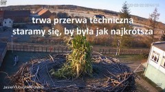 2022-05-14 17_41_47-BOCIANY Z JASIENIA NA ŻYWO - YouTube – Kinza.jpg