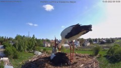 2022-05-15 12_08_00-Bociany online podgląd z kamery na gniazdo bociana – Kinza.jpg