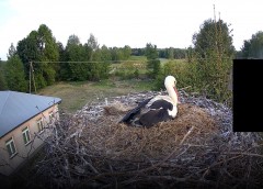 2022-05-20 19_51_21-Strona główna - Zespół Szkół w Raniżowie – Kinza.jpg