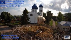 2022-05-20 23_06_21-Gniazdo Bocianie - Telewizja Sokółka [NA ŻYWO] _ IP Camera_ Stork's nest [LIVE] .jpg