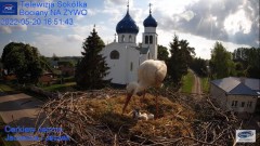 2022-05-20 23_06_17-Gniazdo Bocianie - Telewizja Sokółka [NA ŻYWO] _ IP Camera_ Stork's nest [LIVE] .jpg