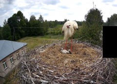 2022-05-25 13_11_40-Strona główna - Zespół Szkół w Raniżowie – Kinza.jpg