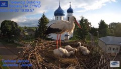 2022-06-02 21_56_13-Gniazdo Bocianie - Telewizja Sokółka [NA ŻYWO] _ IP Camera_ Stork's nest [LIVE] .jpg
