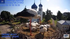 2022-06-10 22_43_35-Gniazdo Bocianie - Telewizja Sokółka [NA ŻYWO] _ IP Camera_ Stork's nest [LIVE] .jpg