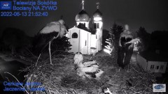 2022-06-13 22_10_15-Gniazdo Bocianie - Telewizja Sokółka [NA ŻYWO] _ IP Camera_ Stork's nest [LIVE] .jpg