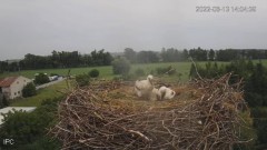 2022-06-13 22_18_07-Bociany - Raszków - YouTube – Kinza.jpg