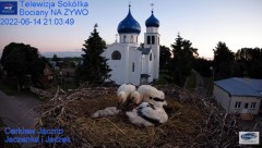 2022-06-14 21_25_58-Gniazdo Bocianie - Telewizja Sokółka [NA ŻYWO] _ IP Camera_ Stork's nest [LIVE] .jpg