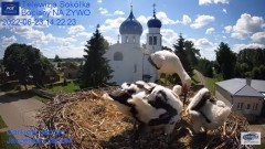 2022-06-23 21_47_46-Gniazdo Bocianie - Telewizja Sokółka [NA ŻYWO] _ IP Camera_ Stork's nest [LIVE] .jpg