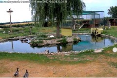 2022-06-28 21_26_41-Klekusiowo – Ośrodek Rehabilitacji Dzikich Zwierząt – Kinza.jpg