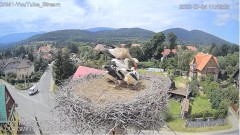 2022-07-04 23_04_33-Bocianie Gniazdo - Podgórzyn 2022 - Widok Full HD na gory - YouTube – Kinza.jpg