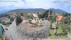 2022-07-04 23_04_52-Bocianie Gniazdo - Podgórzyn 2022 - Widok Full HD na gory - YouTube – Kinza.jpg