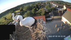 2022_07_09_09_31_49_6_LIVE_Nest_Cam_White_Storks_Ságvár_Hungary_YouTube_Mozilla_Firefox.png