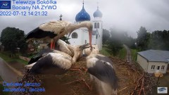 2022-07-12 21_33_26-Gniazdo Bocianie - Telewizja Sokółka [NA ŻYWO] _ IP Camera_ Stork's nest [LIVE] .jpg