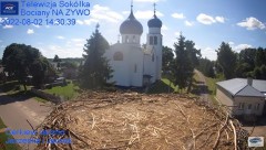 2022-08-02 21_29_08-Gniazdo Bocianie - Telewizja Sokółka [NA ŻYWO] _ IP Camera_ Stork's nest [LIVE] .jpg