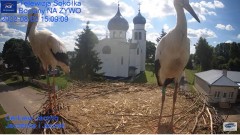 2022-08-02 21_29_24-Gniazdo Bocianie - Telewizja Sokółka [NA ŻYWO] _ IP Camera_ Stork's nest [LIVE] .jpg