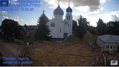 2022-08-02 21_29_49-Gniazdo Bocianie - Telewizja Sokółka [NA ŻYWO] _ IP Camera_ Stork's nest [LIVE] .jpg