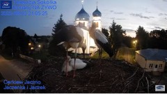 2022-08-02 21_30_13-Gniazdo Bocianie - Telewizja Sokółka [NA ŻYWO] _ IP Camera_ Stork's nest [LIVE] .jpg