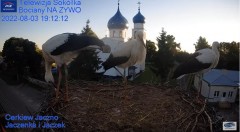 2022-08-03 22_21_33-Gniazdo Bocianie - Telewizja Sokółka [NA ŻYWO] _ IP Camera_ Stork's nest [LIVE] .jpg