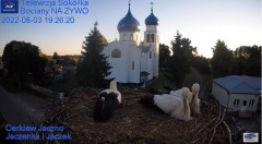 2022-08-03 22_21_45-Gniazdo Bocianie - Telewizja Sokółka [NA ŻYWO] _ IP Camera_ Stork's nest [LIVE] .jpg