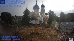 2022-08-06 22_51_37-Gniazdo Bocianie - Telewizja Sokółka [NA ŻYWO] _ IP Camera_ Stork's nest [LIVE] .jpg