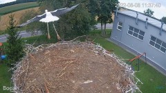 2022-08-08 22_07_06-#Bociany na żywo - #kamera na #gniazdo pod Zambrowem #WhiteStork #nest #livecam .jpg