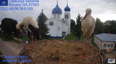 2022-08-08 22_36_46-Gniazdo Bocianie - Telewizja Sokółka [NA ŻYWO] _ IP Camera_ Stork's nest [LIVE] .jpg