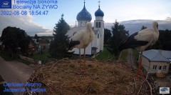 2022-08-08 22_37_05-Gniazdo Bocianie - Telewizja Sokółka [NA ŻYWO] _ IP Camera_ Stork's nest [LIVE] .jpg