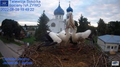 2022-08-09 23_20_11-Gniazdo Bocianie - Telewizja Sokółka [NA ŻYWO] _ IP Camera_ Stork's nest [LIVE] .jpg