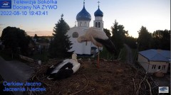 2022-08-10 19_47_39-Gniazdo Bocianie - Telewizja Sokółka [NA ŻYWO] _ IP Camera_ Stork's nest [LIVE] .jpg