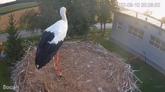 2022-08-10 21_56_13-#Bociany na żywo - #kamera na #gniazdo pod Zambrowem #WhiteStork #nest #livecam .jpg