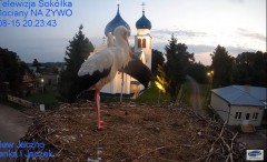 2022-08-15 22_28_46-Gniazdo Bocianie - Telewizja Sokółka [NA ŻYWO] _ IP Camera_ Stork's nest [LIVE] .jpg