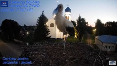 2022-08-17 22_09_36-Gniazdo Bocianie - Telewizja Sokółka [NA ŻYWO] _ IP Camera_ Stork's nest [LIVE] .jpg
