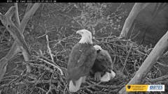 2022-11-23 21_14_08-Bluff City Cam 2_ ETSU Eagle Cameras - YouTube – Maxthon.jpg