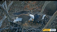 2022-11-23 21_14_15-Bluff City Cam 2_ ETSU Eagle Cameras - YouTube – Maxthon.jpg