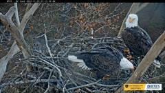 2022-11-23 21_14_22-Bluff City Cam 2_ ETSU Eagle Cameras - YouTube – Maxthon.jpg