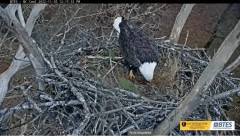 2022-11-30 22_49_01-Bluff City Cam 2_ ETSU Eagle Cameras - YouTube – Maxthon.jpg