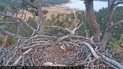 2022-12-02 23_11_23-Big Bear Bald Eagle Live Nest Cam - YouTube – Maxthon.jpg
