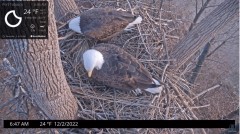 2022-12-02 23_16_34-Port Tobacco Eagle Cam - YouTube – Maxthon.jpg